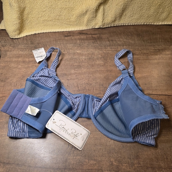 Rene Rofe Blue and White Striped Bra - Picture 3 of 3